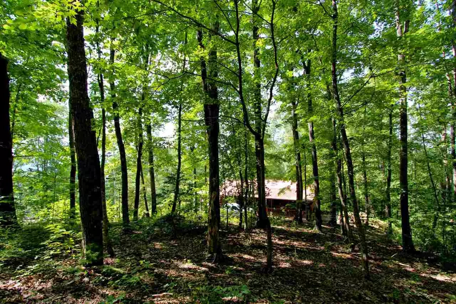 LOT 18 Grand Country WAY, Cosby, TN 37722