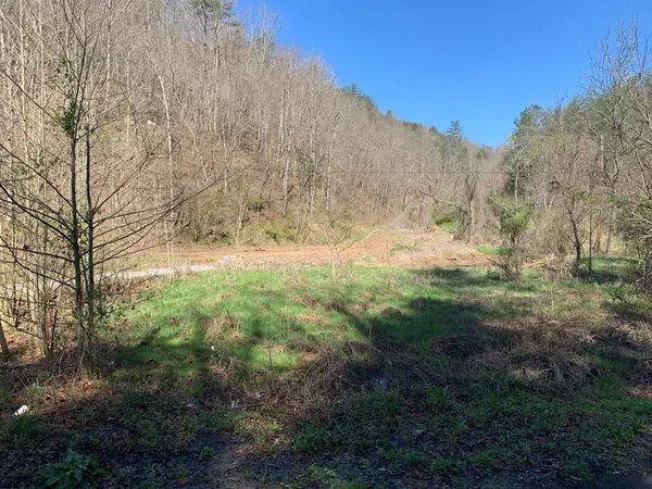 Cosby, TN 37722,+-173 Acre Middle Creek RD