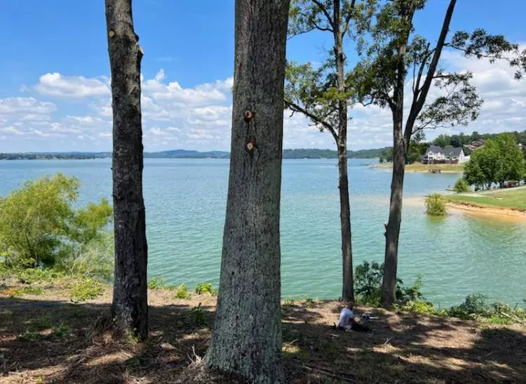 Baneberry, TN 37890,3608 Ferry Crest WAY