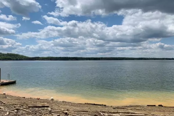 Baneberry, TN 37890,509 Bonne Vista DR