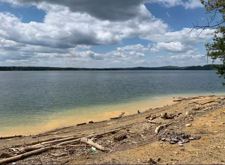 Baneberry, TN 37890,509 Bonne Vista DR