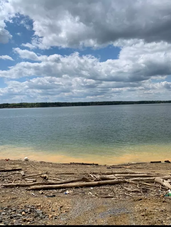 Baneberry, TN 37890,509 Bonne Vista DR