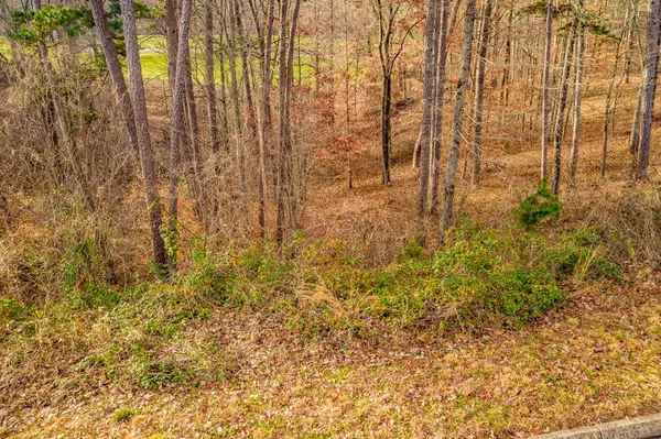 Lot 140 Tumbleweed TRL, Rutledge, TN 37861