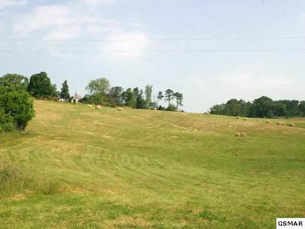 Lot 8 Forgety RD, Jefferson City, TN 37760