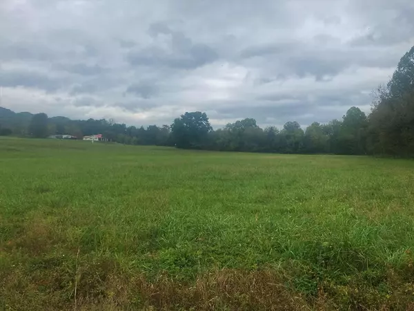 Rutledge, TN 37861,Lot 5 Rutledge PIKE