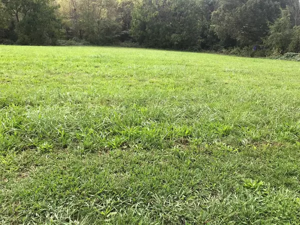 Lot 8 Ostrich LN, Rutledge, TN 37861