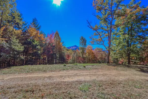 12 Acres Dogwood Stand RD, Hartford, TN 37753