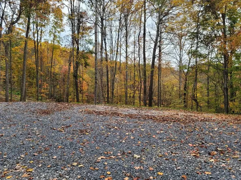 Lot25 Tiny Homes LN, Thorn Hill, TN 37881