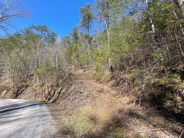 Tract 4 Faith Mountain WAY, Hartford, TN 37727