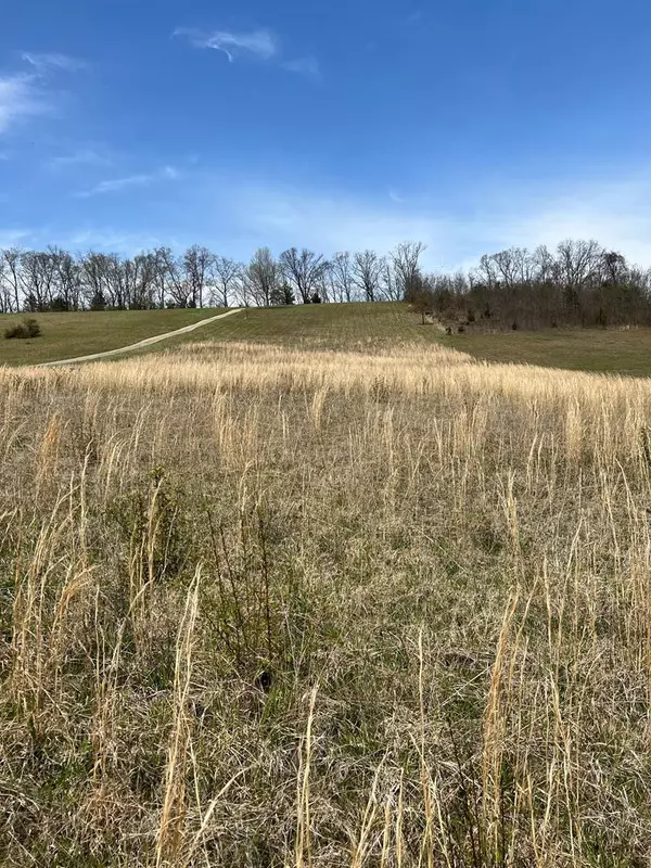 Scenic View DR, Jefferson City, TN 37890