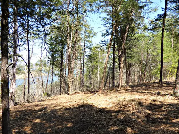 Lots #2 & Snapdragon Rd., Sevierville, TN 37876