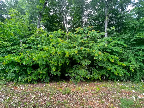 Russellville, TN 37860,1955 Turners Landing Rd.