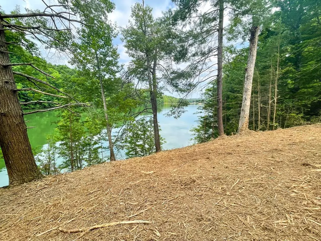 Sevierville, TN 37876,Lot 21 Anglers Cove WAY