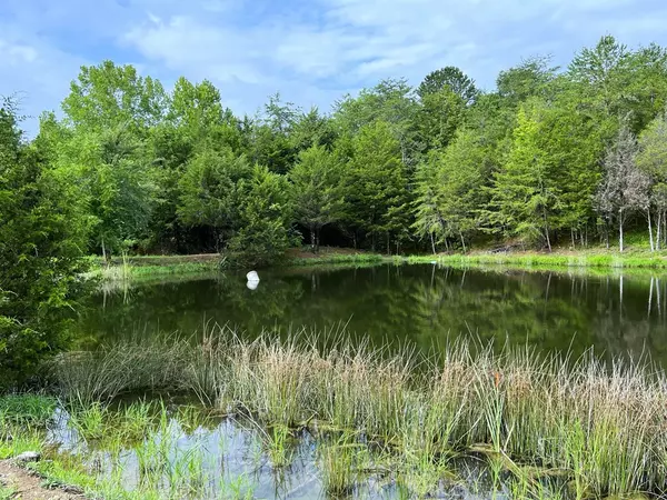 Bybee, TN 37713,790 Lonesome Pine RD