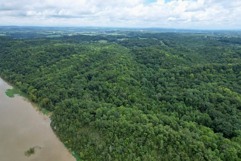 Newport, TN 37821,Lot 7 Corn Hollow Rd.