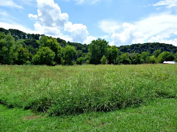 Lot 141 Holston Shores Dr., Rutledge, TN 37861