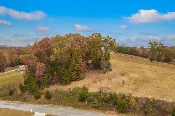Spring City, TN 37381,Lots 12&13 Scenic Lakeview DR
