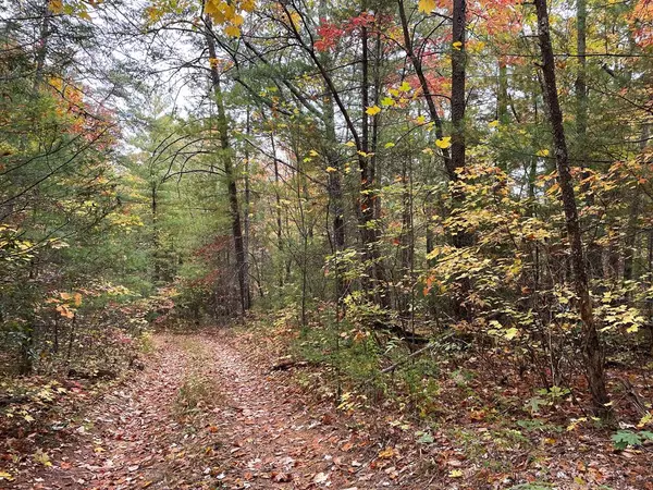 Grindstaff RD, Hartford, TN 37753