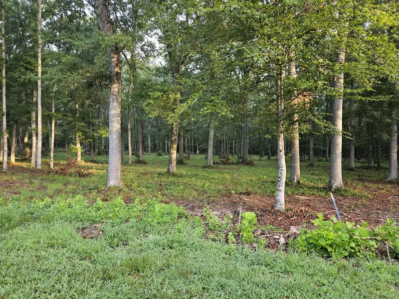 lot 5 Deerwood Dr & Sunset Harbor DR, Dandridge, TN 37725