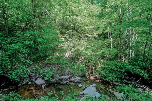 Parcel 04. Big Creek RD, Hartford, TN 37753