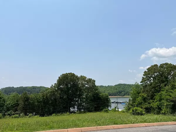 Rutledge, TN 37861,Lot 28 Shiloh Springs RD