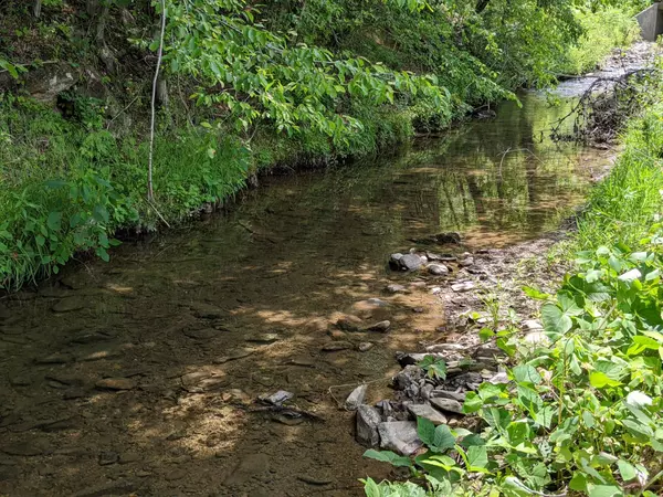 0 Big Creek RD, Hartford, TN 37753