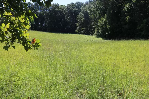 Lots 16, 17 Meadowview RD, Mosheim, TN 37818