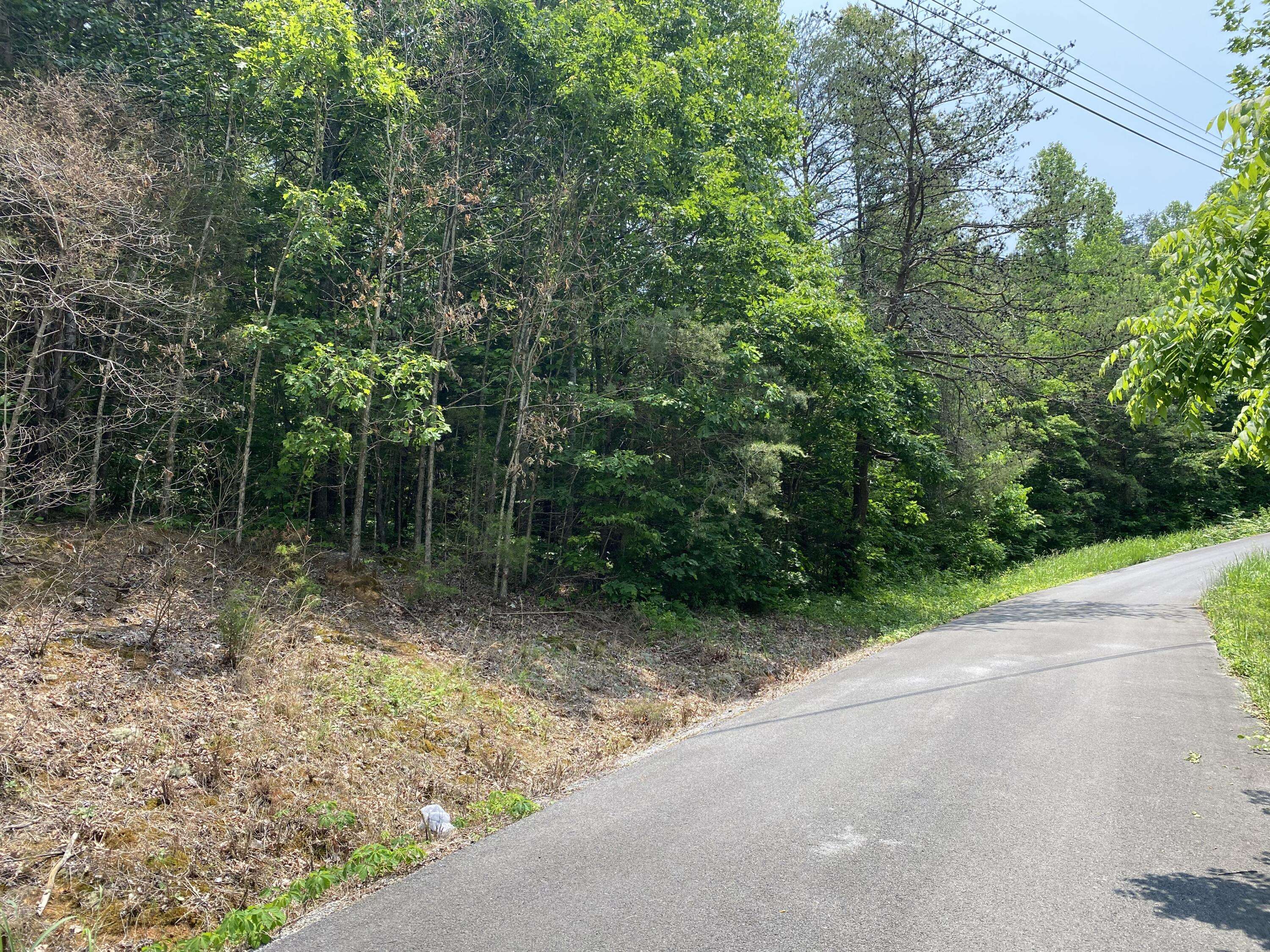 Lot 20 Point View Dr, Parrottsville, TN 37843