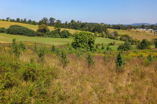 Rutledge, TN 37861,Lot 170 Holston Shores Dr