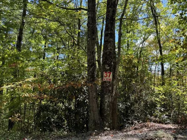 Lot 37 Joy WAY, Hartford, TN 37753