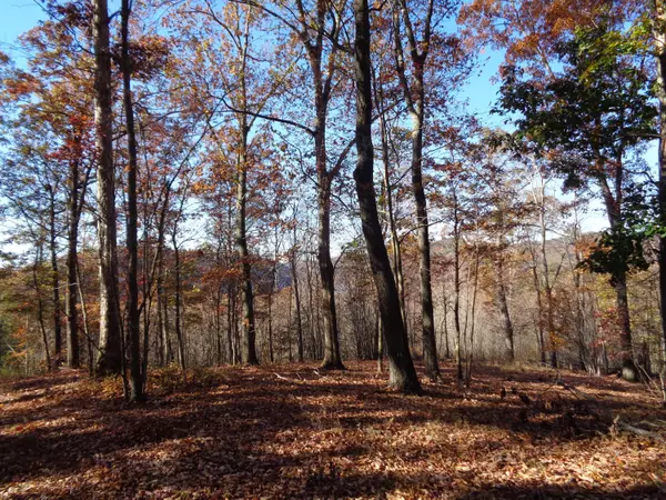 Rockwood, TN 37854,LOT 22 TWIN FEATHERS DR