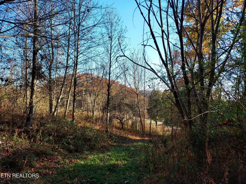 tbd Ferguson Cemetery RD, Sneedville, TN 37869