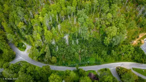 Gatlinburg, TN 37738,0 Beech Branch RD