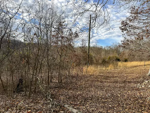 New Market, TN 37820,0 Pinto Ridge