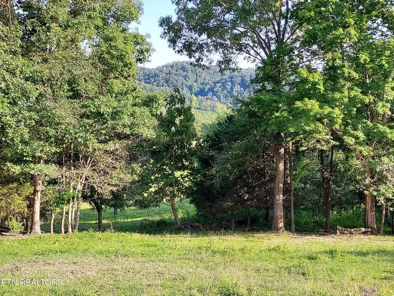 TBD LOT 3 TRENTS Chapel RD, Sneedville, TN 37869