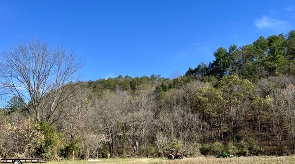 2720 Lot D Hwy 25/70, Del Rio, TN 37727