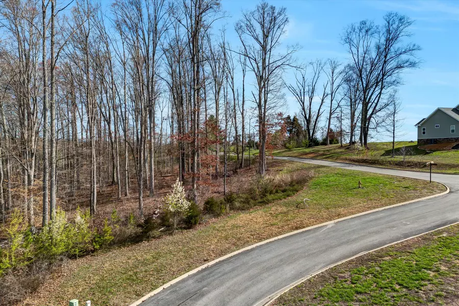 Lot 133 Saddleback Ridge Rd, Rutledge, TN 37861