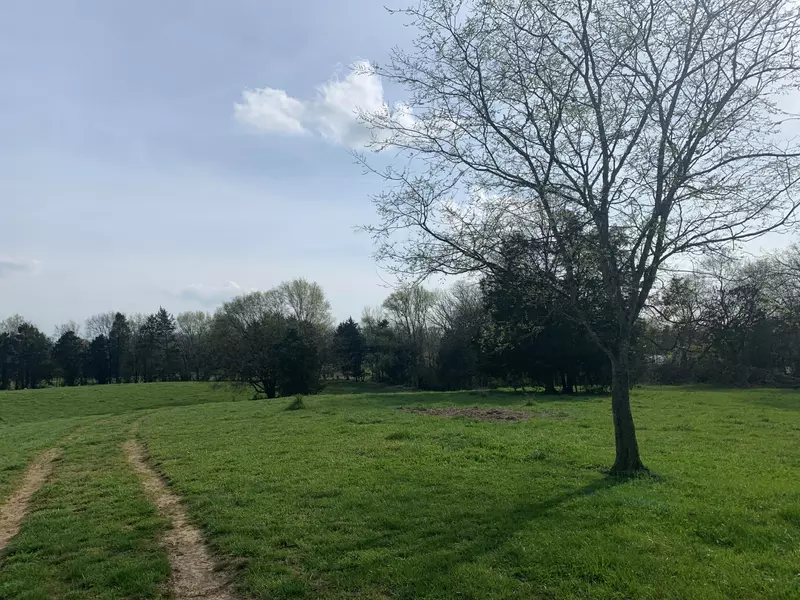 Lot 01+ Piedmont RD, New Market, TN 37820