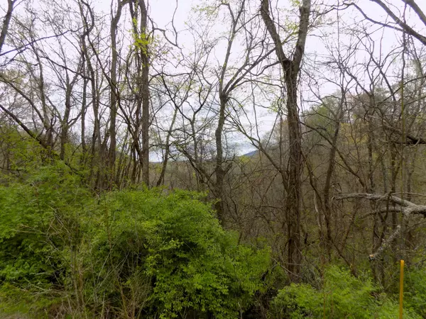 Par 067.14 Alpha RD, Newport, TN 37821