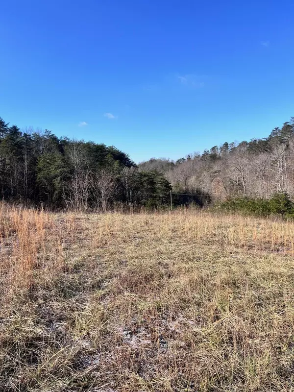 Tazewell, TN 37879,Tract 2 Bundren Mountain RD