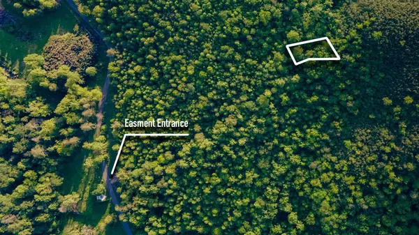 Hartford, TN 37753,3963 Off Lindsey Gap Rd