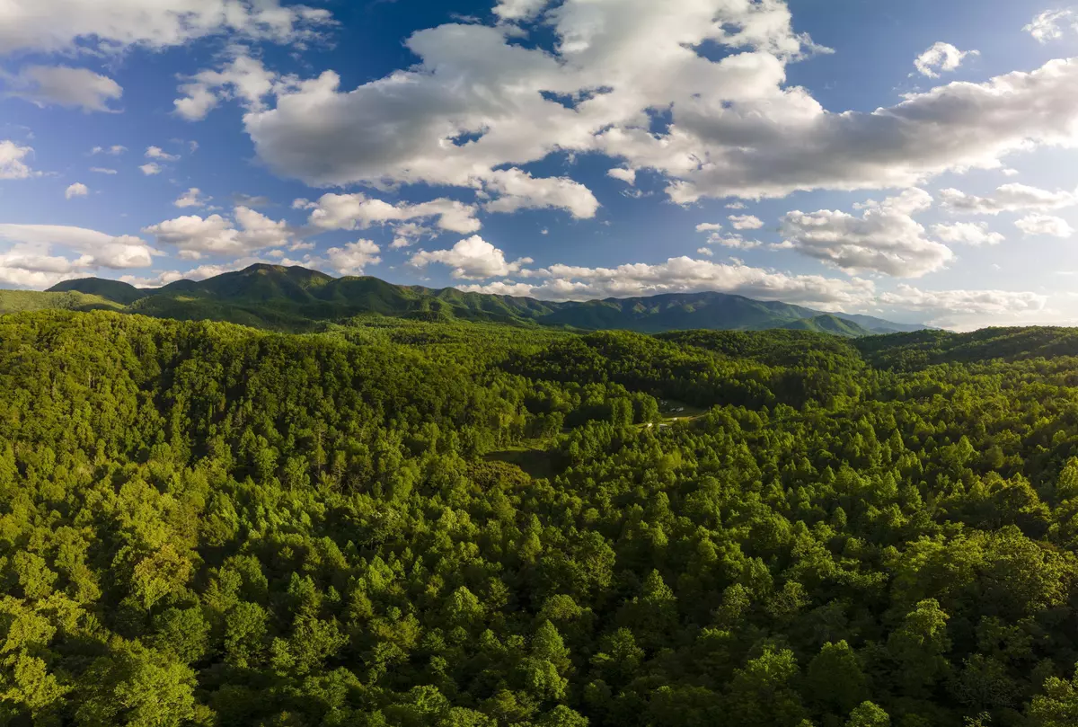 Hartford, TN 37753,3963 Off Lindsey Gap Rd