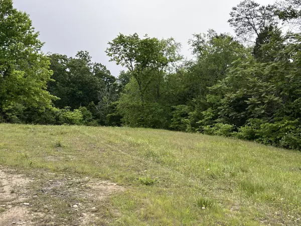 Bulls Gap, TN 37711,Lot 2 Clemon RD