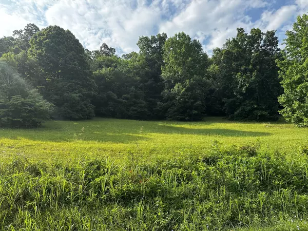 Tract 2 Buckhead TRL, White Pine, TN 37890