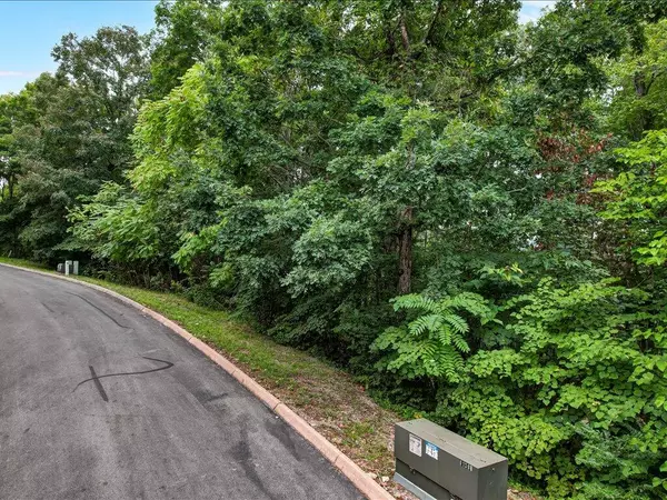 Rutledge, TN 37861,Lot 7 Shiloh Springs RD