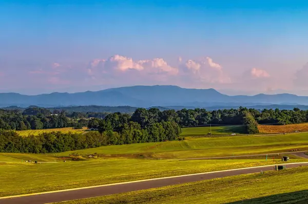 White Pine, TN 37890,Lot 40 Meadow Vista Way