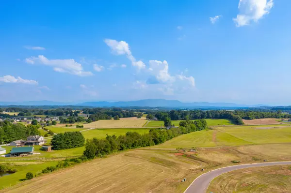 White Pine, TN 37890,Lot 40 Meadow Vista Way