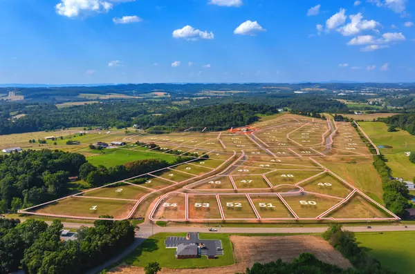 White Pine, TN 37890,Lot 09 Meadow Vista Way