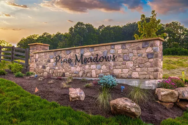 White Pine, TN 37890,Lot 09 Meadow Vista Way