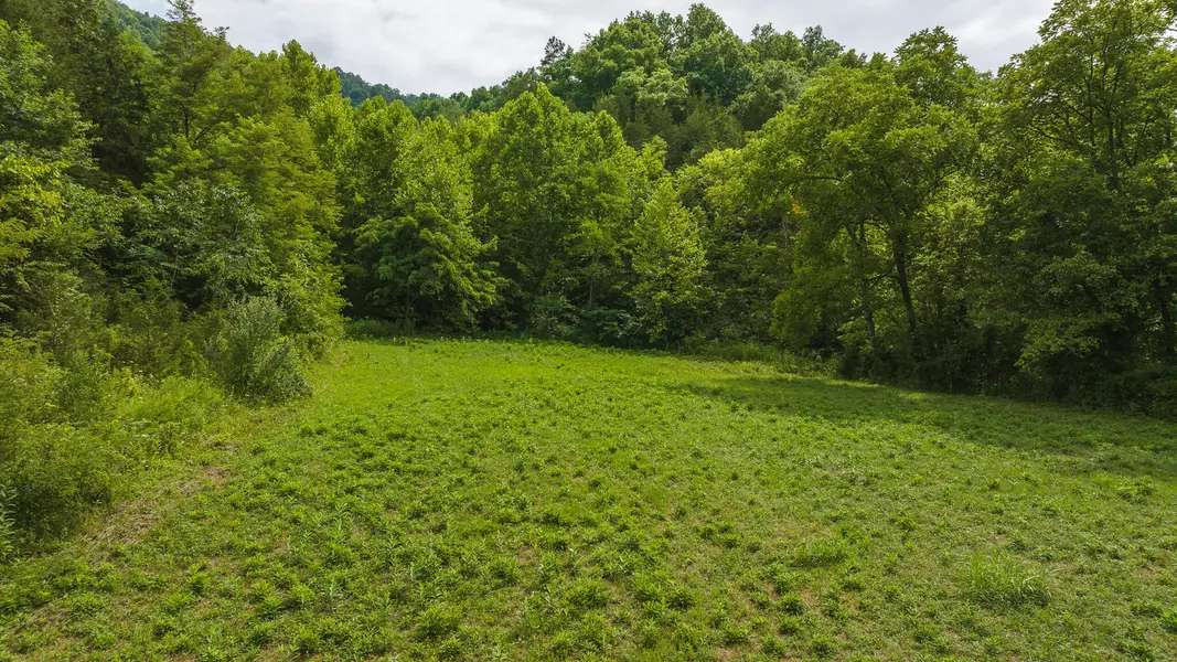 Lot 1 War Creek RD, Eidson, TN 37731